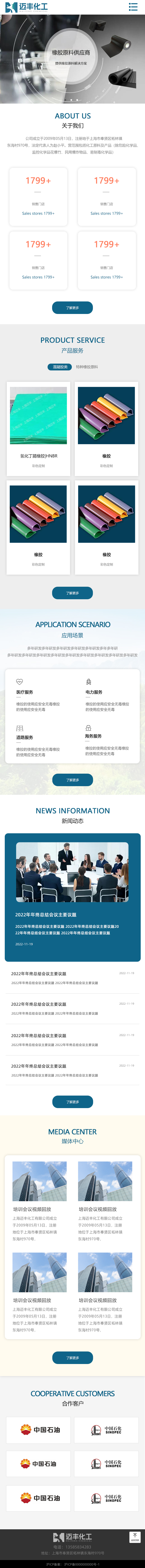 上海迈丰橡胶_效果图8