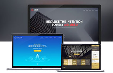 商务定制网站制作_北京网站建设图